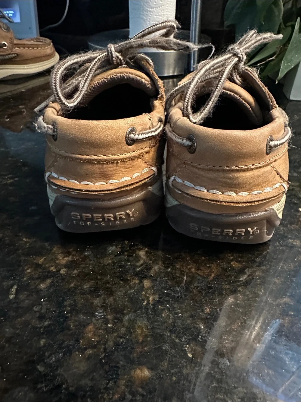 Sperry Kids Brown Boat Shoes
